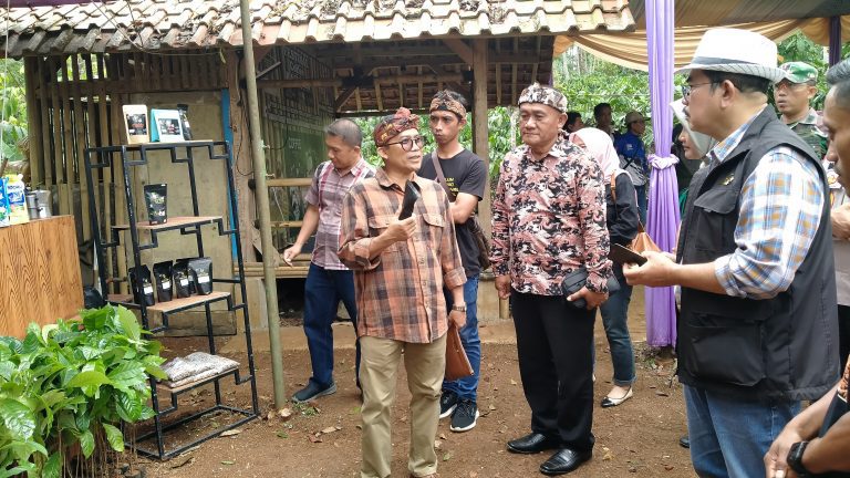 Kecamatan Rajadesa: Potensi Kopi Unggulan di Ciamis yang Terkenal