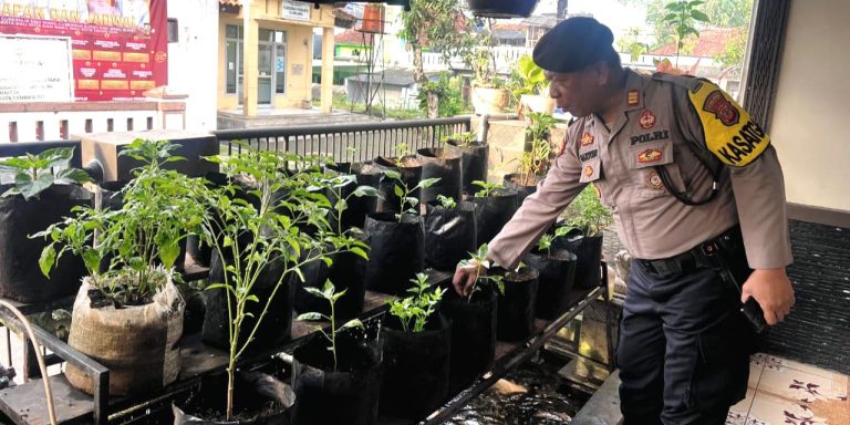 AKP Hartono Tanam Sayur di Pekarangan Dukung Pangan