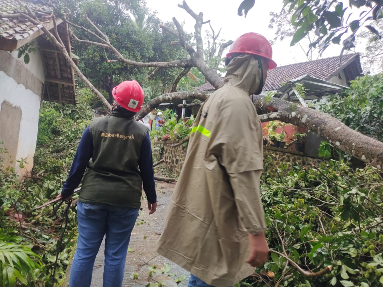Pohon Rambutan Tumbang Timpa Rumah Warga