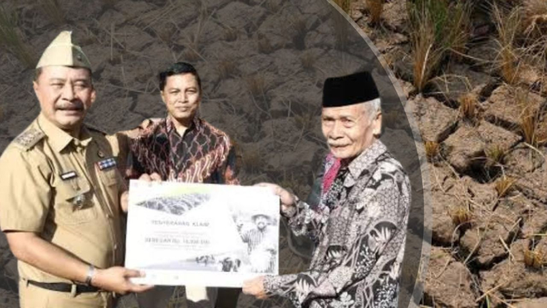 Keren! Gagal Panen di Garut, Petani Dapat Asuransi