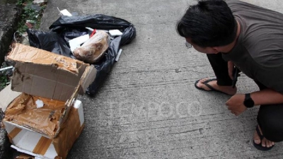 Tempo Dikirim Kepala Babi