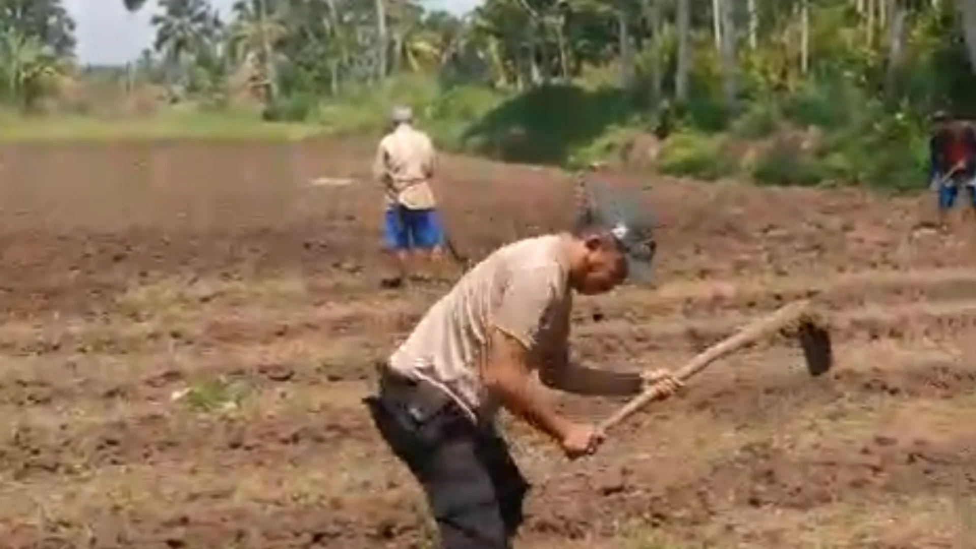 polisi tasikmalaya berkebun