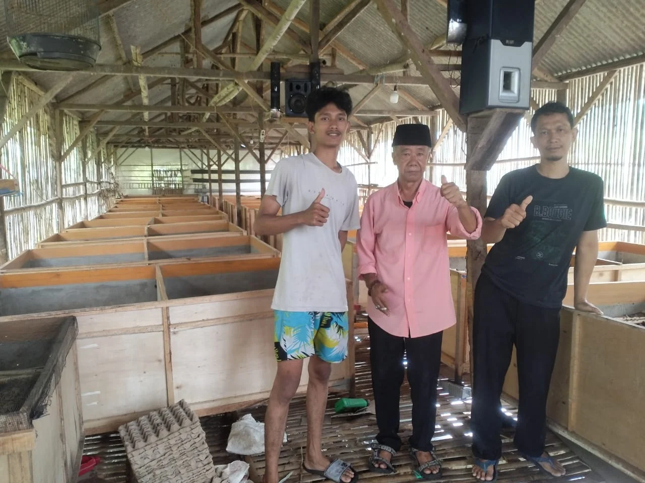 Pengusaha Jangkrik di Tasik