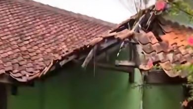 rsud dr soekardjo kumuh viral di tiktok