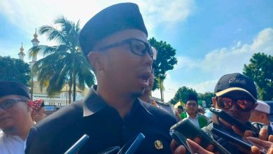 PPPK Paruh Waktu - Viman Alfarizi Ramadhan