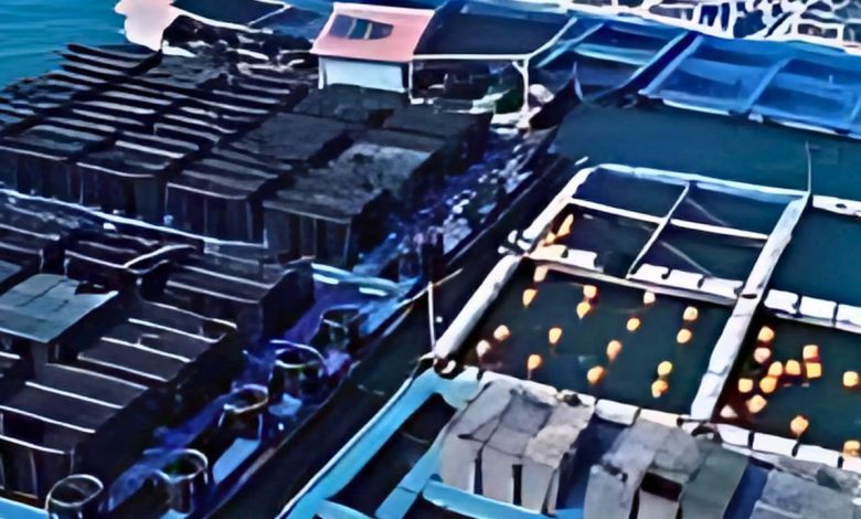 keramba jaring apung pangandaran harus ditolak