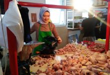 harga ayam di purwakarta