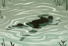 penemuan mayat di karawang