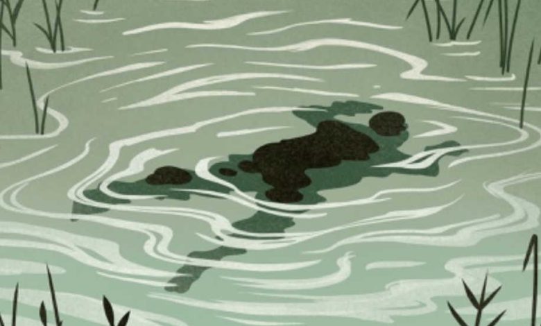 penemuan mayat di karawang