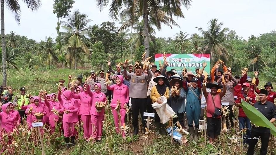 panen raya jagung tasikmalaya 2025