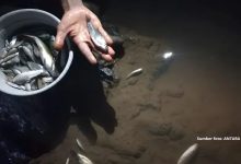 tpa ciangir diduga cemari air