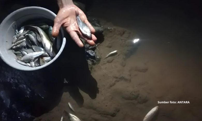 tpa ciangir diduga cemari air