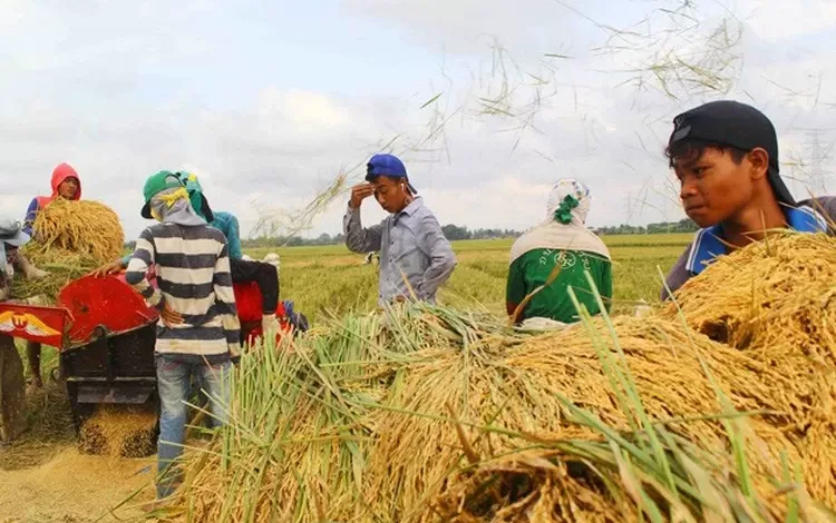 utang petani indramayu