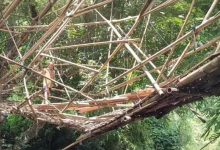 jembatan bambu Pangandaran