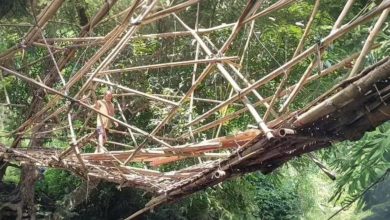 jembatan bambu Pangandaran