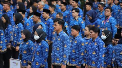 PPPK paruh waktu
