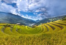 Ketahanan Pangan Subang