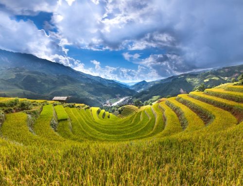 Ketahanan Pangan Subang Tetap Terjaga di Tengah Gempuran Industrialisasi