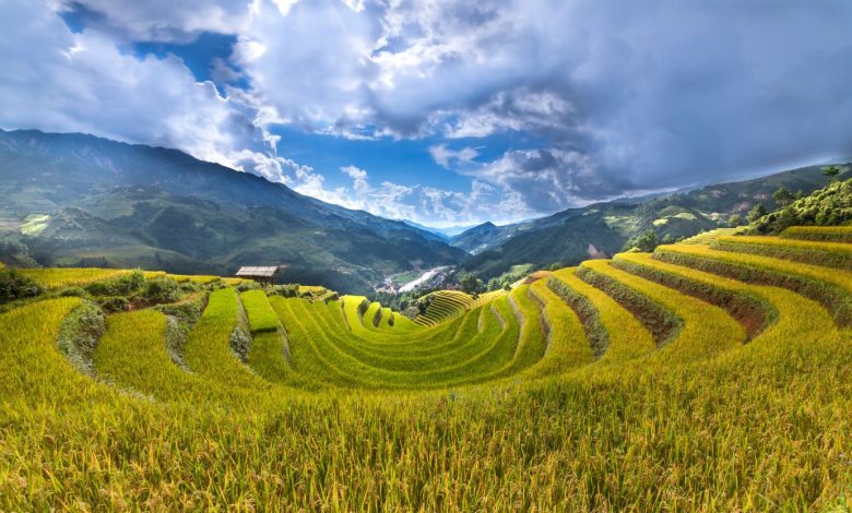 Ketahanan Pangan Subang