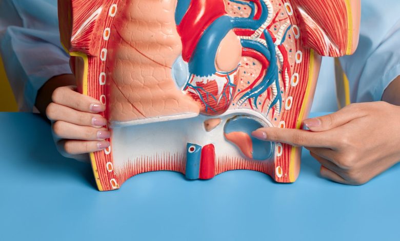 Air Kelapa Muda untuk Ginjal