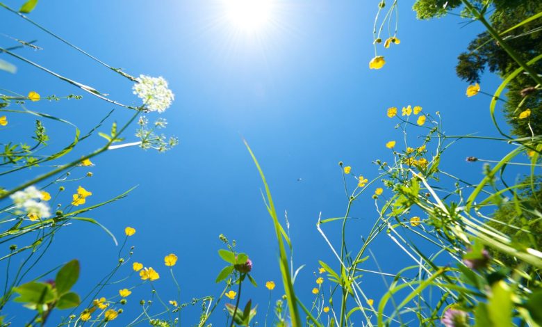 Mandi Terlalu Sering