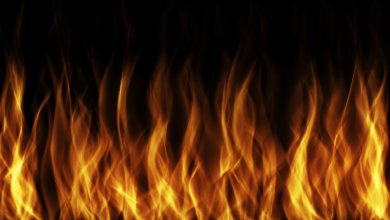 Uji Sampel Lingkungan