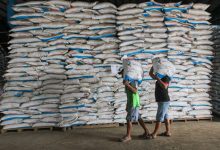 penjualan pupuk di sukabumi