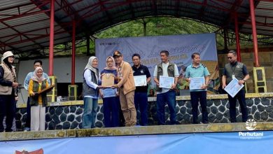 perhutani tasikmalaya