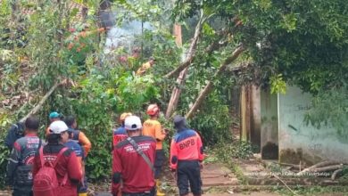 puting beliung di tasikmalaya