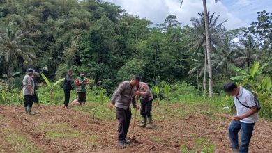 warga tamansari kota tasikmalaya tanam jagung bersama polisi