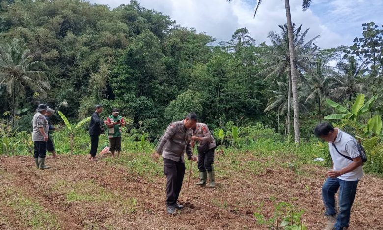 warga tamansari kota tasikmalaya tanam jagung bersama polisi