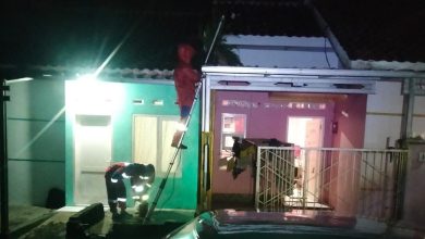 damkar kota tasikmalaya tangani tawon vespa