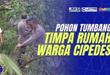 pohon tumbang di tasikmalaya
