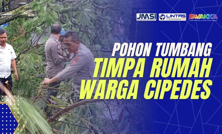 pohon tumbang di tasikmalaya