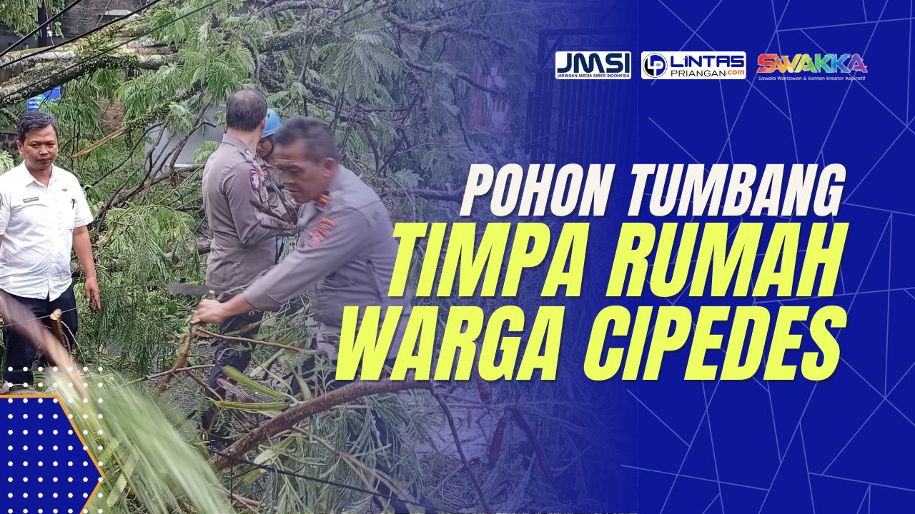 pohon tumbang di tasikmalaya