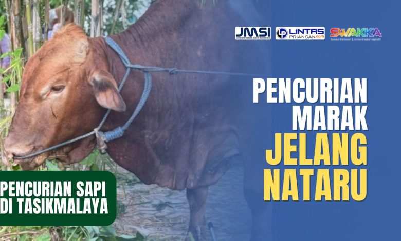 Jelang Nataru, Marak Pencurian Sapi di Tasikmalaya