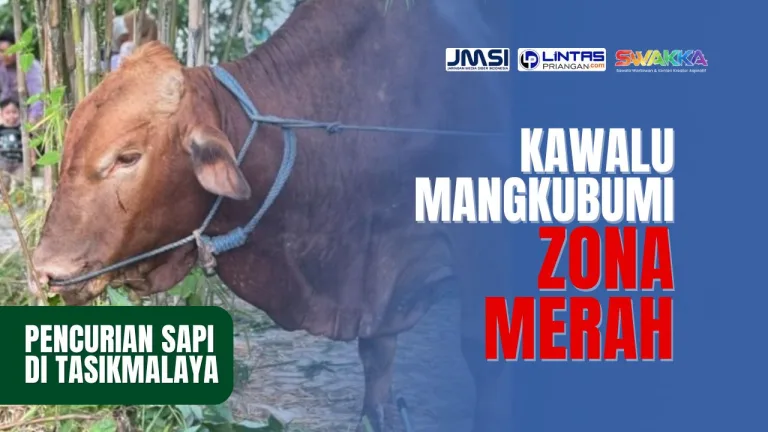 Pencurian Sapi di Tasikmalaya: Kawalu–Mangkubumi Zona Merah