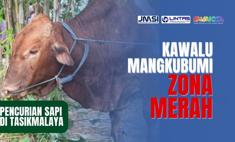 Pencurian Sapi di Tasikmalaya: Kawalu–Mangkubumi Zona Merah