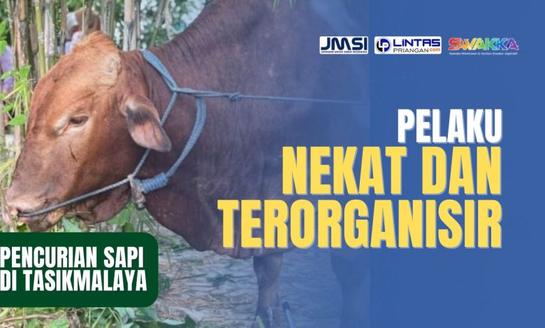 Pencurian Sapi di Tasikmalaya, Pelaku Kian Nekat dan Terorganisir