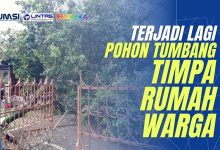 pohon tumbang di tasikmalaya timpa rumah warga