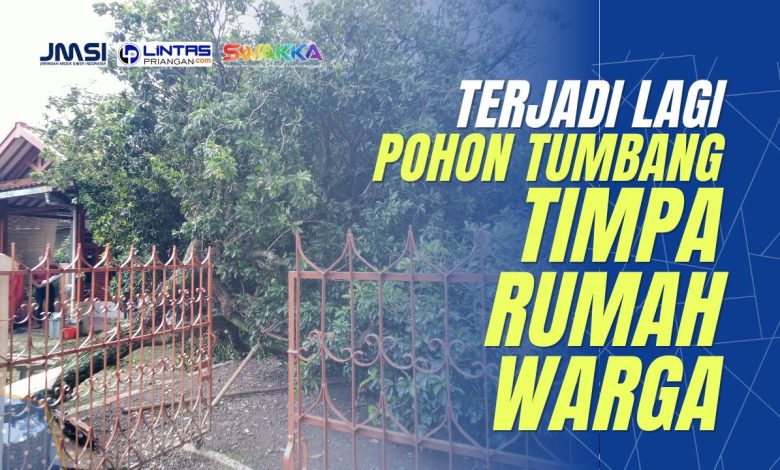 pohon tumbang di tasikmalaya timpa rumah warga