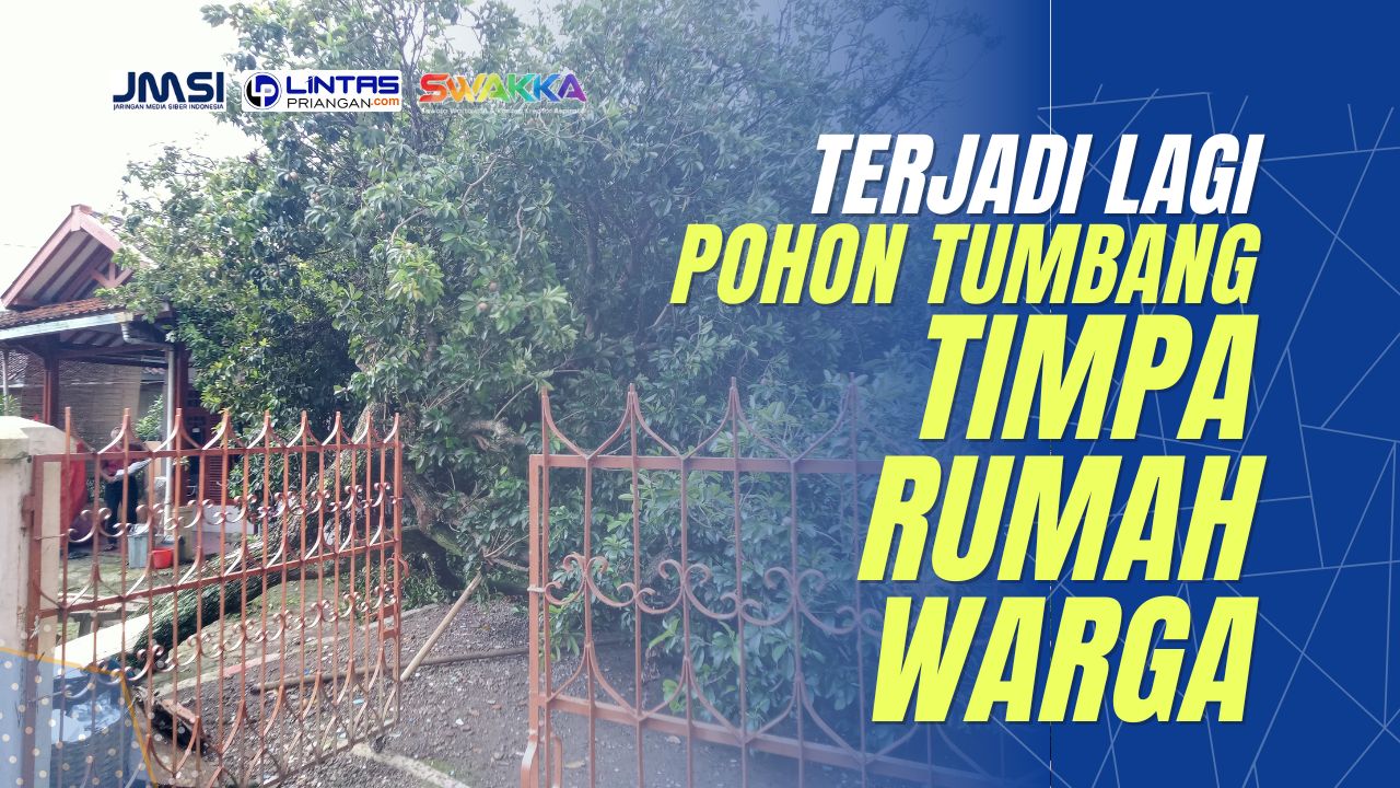 pohon tumbang di tasikmalaya timpa rumah warga