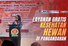 pelayanan gratis kesehatan hewan di pangandaran