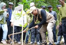 wakil bupati tasikmalaya tanam bambu di salawu