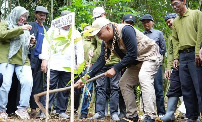 wakil bupati tasikmalaya tanam bambu di salawu