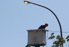 pemkab tasikmalaya pasang kwh pju 5000 titik