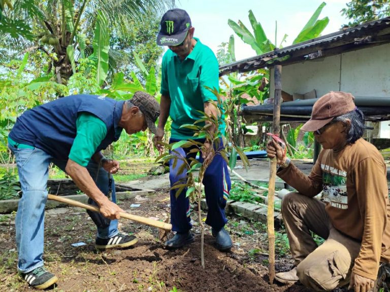 Rayakan 50 Tahun, Alusmanis 75 Tanam Ratusan Pohon