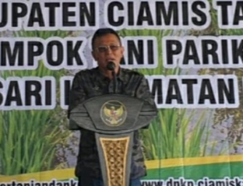 Pemkab Ciamis Genjot Tanam Padi Organik, Jaga Tanah dan Air