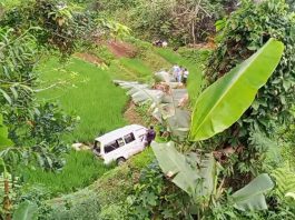 hilang kendali: angkot cigalontang-singaparna terjun ke jurang