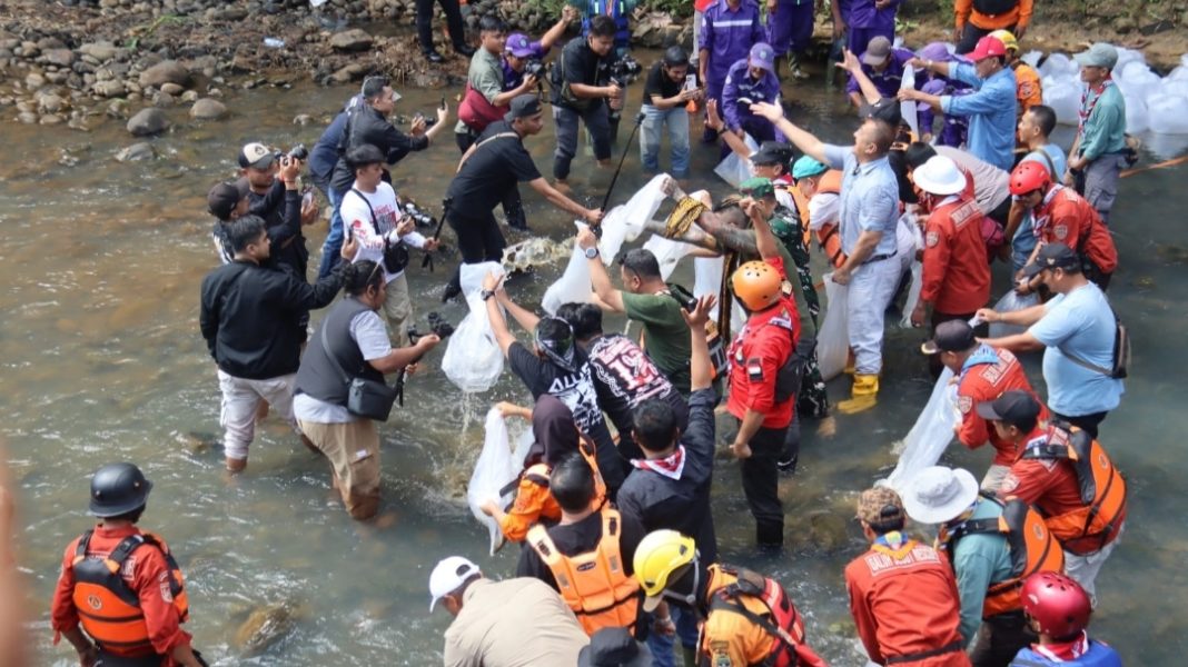 Puncak HPN PWI Ciamis tebar benih ikan 150 bersama Irfan hakim dan bos koi